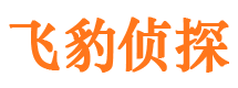 原平侦探公司